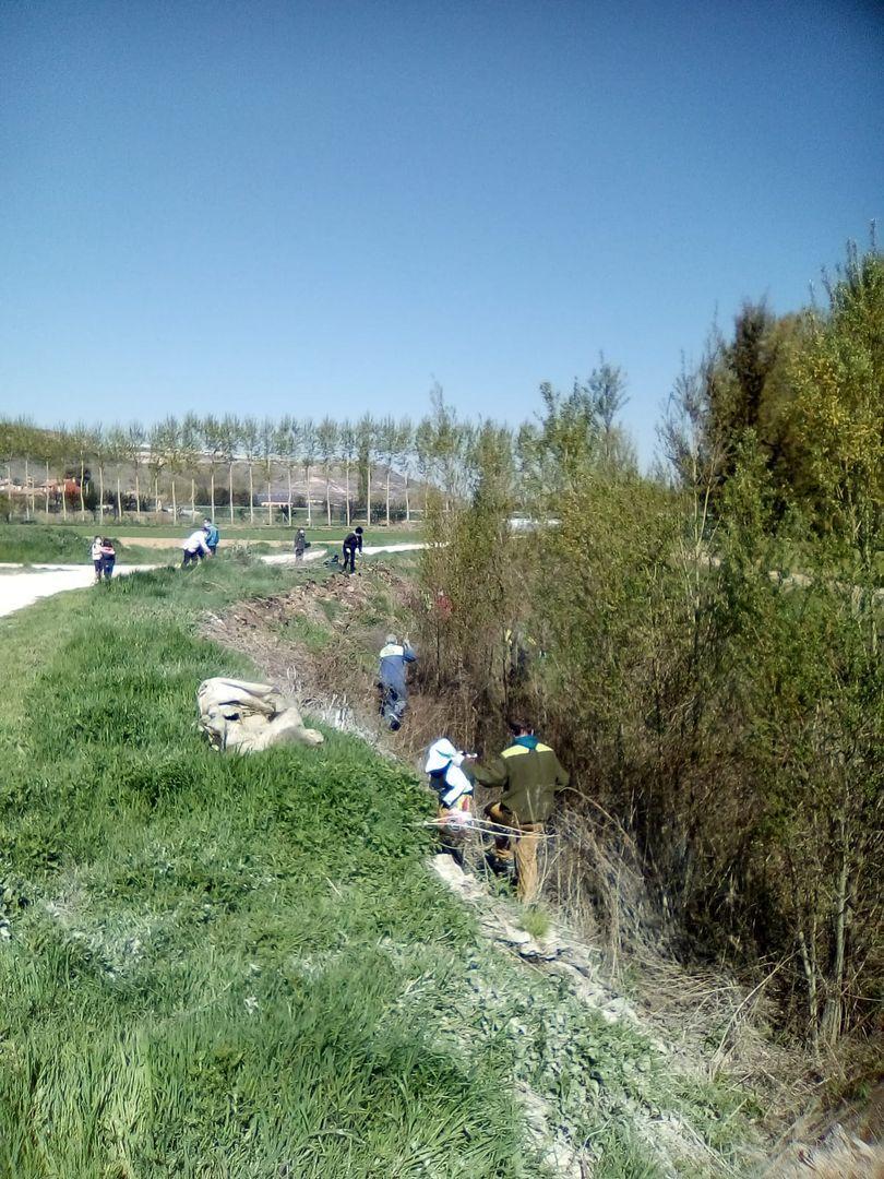Basuraleza Adrada de Haza 