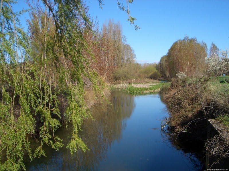 Riberas del Riaza y afluentes