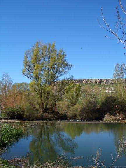 Riberas del Riaza y afluentes